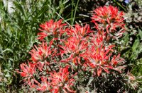 DSC_0267.jpg DSC_0267.jpg