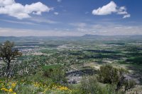 DSC_0272.jpg DSC_0272.jpg