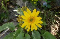 DSC_0283.jpg DSC_0283.jpg