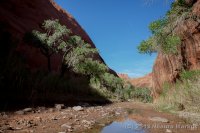 Escalante-Fiftymile-Nilauro-Markus-2012-05-24-6548.jpg Escalante-Fiftymile-Nilauro-Markus-2012-05-24-6548.jpg