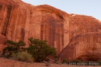 Escalante-Fiftymile-Nilauro-Markus-2012-05-24-6556.jpg Escalante-Fiftymile-Nilauro-Markus-2012-05-24-6556.jpg