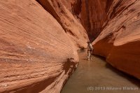 Escalante-Fiftymile-Nilauro-Markus-2012-05-24-6857.jpg Escalante-Fiftymile-Nilauro-Markus-2012-05-24-6857.jpg