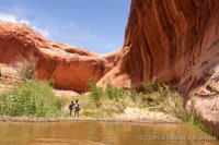 Escalante-Fiftymile-Nilauro-Markus-2012-05-24-6887.jpg Escalante-Fiftymile-Nilauro-Markus-2012-05-24-6887.jpg