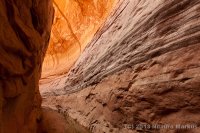 Escalante-Fiftymile-Nilauro-Markus-2012-05-24-7015.jpg Escalante-Fiftymile-Nilauro-Markus-2012-05-24-7015.jpg