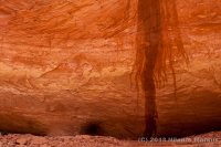 Escalante-Fiftymile-Nilauro-Markus-2012-05-24-7063.jpg Escalante-Fiftymile-Nilauro-Markus-2012-05-24-7063.jpg