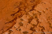 Escalante-Fiftymile-Nilauro-Markus-2012-05-24-7068.jpg Escalante-Fiftymile-Nilauro-Markus-2012-05-24-7068.jpg