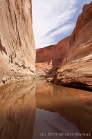 Escalante-Fiftymile-Nilauro-Markus-2012-05-24-7128.jpg Escalante-Fiftymile-Nilauro-Markus-2012-05-24-7128.jpg