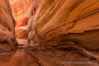 Escalante-Fiftymile-Nilauro-Markus-2012-05-24-7154.jpg Escalante-Fiftymile-Nilauro-Markus-2012-05-24-7154.jpg