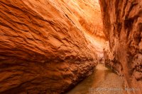 Escalante-Fiftymile-Nilauro-Markus-2012-05-24-7256.jpg Escalante-Fiftymile-Nilauro-Markus-2012-05-24-7256.jpg