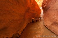 Escalante-Fiftymile-Nilauro-Markus-2012-05-24-7338.jpg Escalante-Fiftymile-Nilauro-Markus-2012-05-24-7338.jpg
