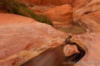 Escalante-Fiftymile-Nilauro-Markus-2012-05-24-7371.jpg Escalante-Fiftymile-Nilauro-Markus-2012-05-24-7371.jpg