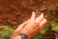 Escalante-Fiftymile-Nilauro-Markus-2012-05-24-7470.jpg Escalante-Fiftymile-Nilauro-Markus-2012-05-24-7470.jpg