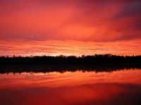 P1010031.JPG P1010031.JPG