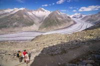 IMGP3037_2__1_01_1000.jpg IMGP3037_2__1_01_1000.jpg