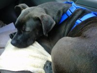 car ride after hike.jpg