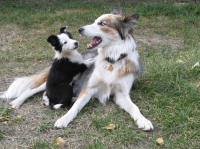 Screen Shot 2013-06-14 at 1.52.53 PM.png