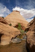 boulder-creek-escalante-18.jpg
