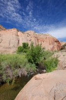 boulder-creek-escalante-24.jpg