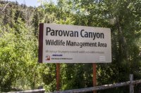 IMG_8806.jpg IMG_8806.jpg