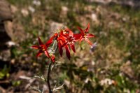 IMG_8811.jpg IMG_8811.jpg