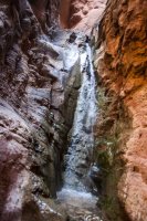 IMG_8889.jpg IMG_8889.jpg