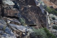 IMG_8925.jpg IMG_8925.jpg