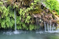 IMG_9693.jpg IMG_9693.jpg