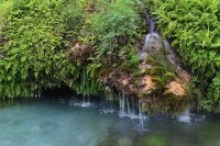 IMG_9660.jpg IMG_9660.jpg