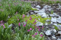 IMG_9488.jpg IMG_9488.jpg