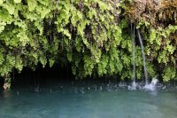 IMG_9668.jpg IMG_9668.jpg