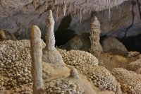 IMG_9656.jpg IMG_9656.jpg