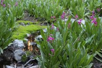 IMG_9499.jpg IMG_9499.jpg