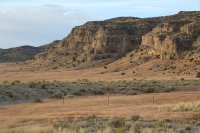 IMG_9719.jpg IMG_9719.jpg