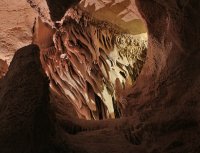 IMG_9464.jpg IMG_9464.jpg