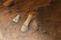 IMG_9649.jpg IMG_9649.jpg