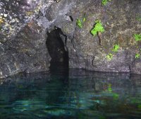 P1010011.jpg P1010011.jpg