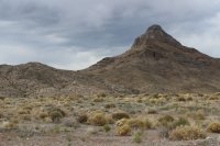 IMG_9705.jpg IMG_9705.jpg