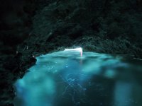 P1010047.jpg P1010047.jpg