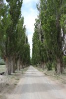 IMG_9642.jpg IMG_9642.jpg