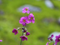 IMG_9490.jpg IMG_9490.jpg