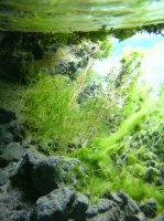 P1010029.jpg P1010029.jpg