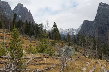 IMG_1236_r.JPG IMG_1236_r.JPG