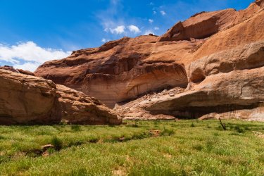 RCM03368-GCNRA 5_2022-220530-100.jpg