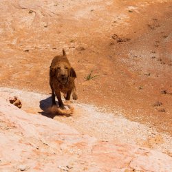 RCM03177-GCNRA 5_2022-220530-14.jpg