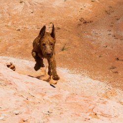 RCM03179-GCNRA 5_2022-220530-16.jpg