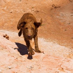 RCM03180-GCNRA 5_2022-220530-17.jpg