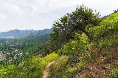 RCM03765-2022 Wanderings 2022-220604-25.jpg