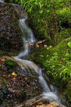 RCM03760-2022 Wanderings 2022-220604-23.jpg RCM03760-2022 Wanderings 2022-220604-23.jpg