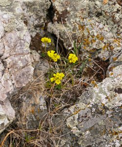 _1270796-copy-2.jpg _1270796-copy-2.jpg