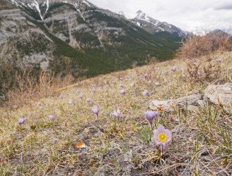 _1270803-copy-2.jpg _1270803-copy-2.jpg